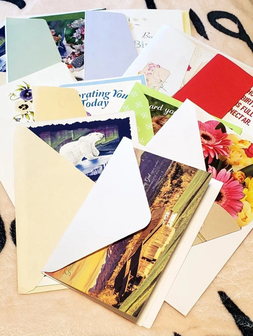 Greeting Card Bundle.